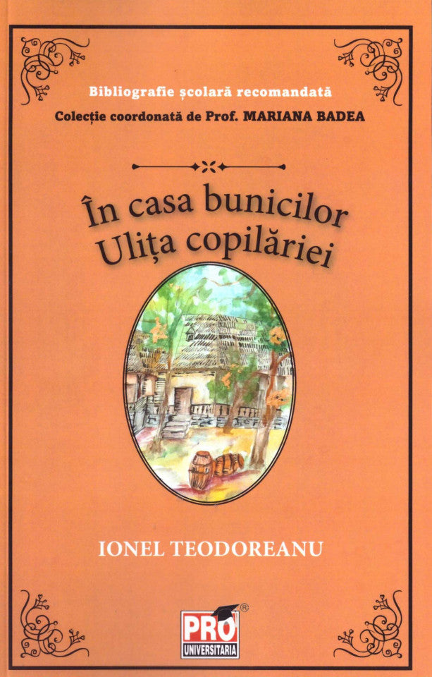 În casa bunicilor. Ulița copilăriei