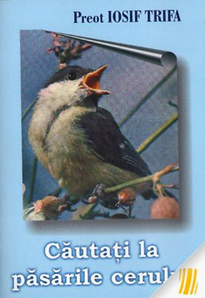 Căutaţi la păsările cerului