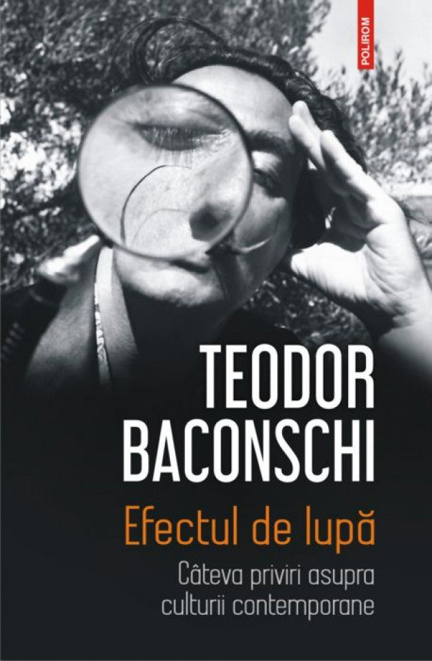 Efectul de lupă. Câteva priviri asupra culturii contemporane