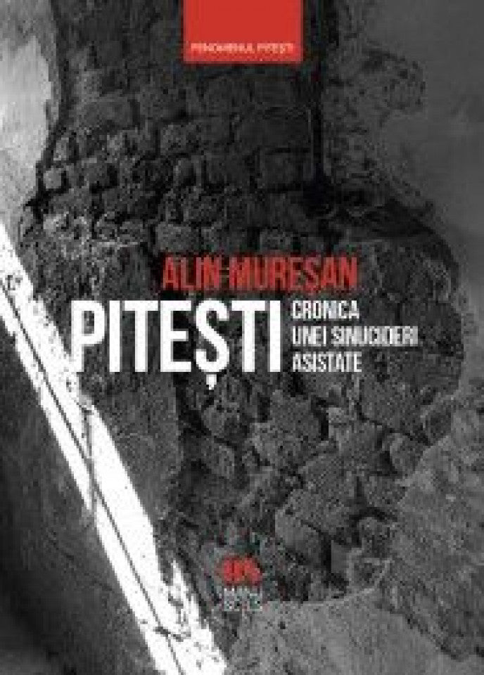 Piteşti. Cronica unei sinucideri asistate