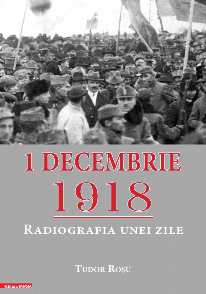 1 Decembrie 1918 - Radiografia unei zile