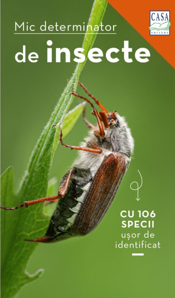 Mic determinator de insecte
