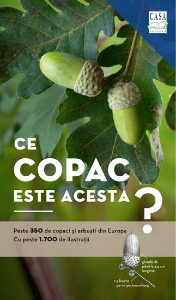 Ce copac este acesta?