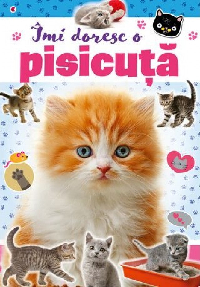 Îmi doresc o pisicuță