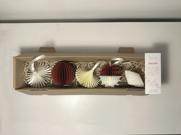 Set 5 globuri de Crăciun - Mix