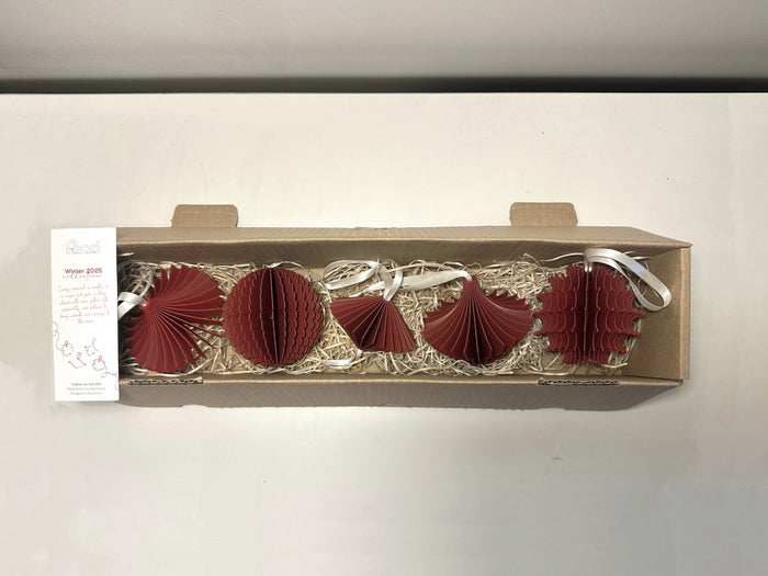 Set 5 globuri de Crăciun - Red