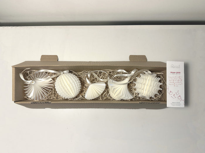 Set 5 globuri de Crăciun - White