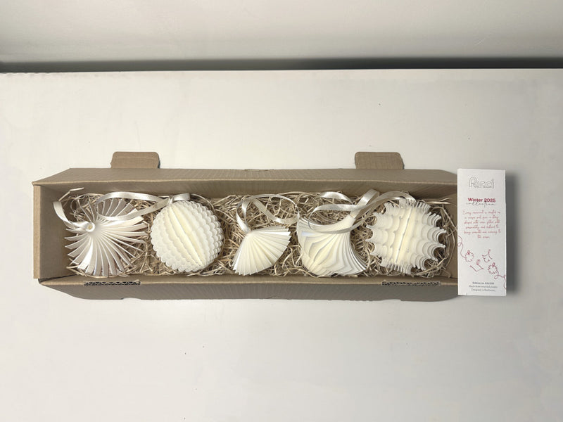 Set 5 globuri de Crăciun - White