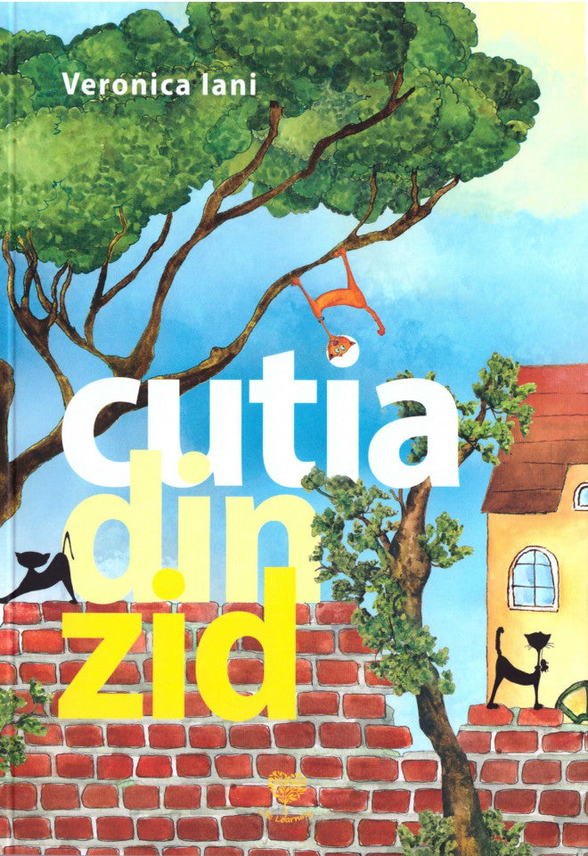 Cutia din zid