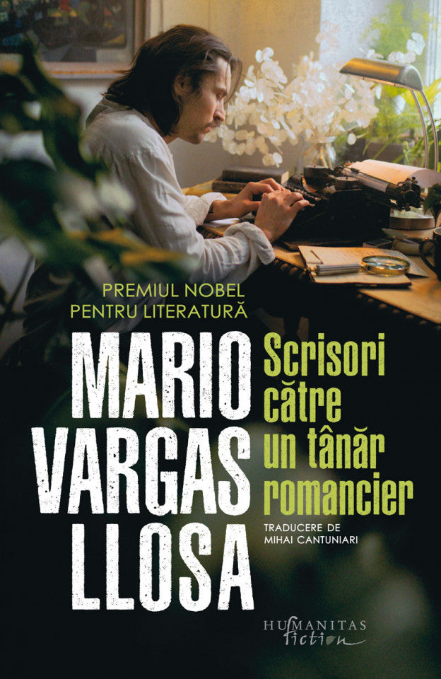 Scrisori către un tânăr romancier