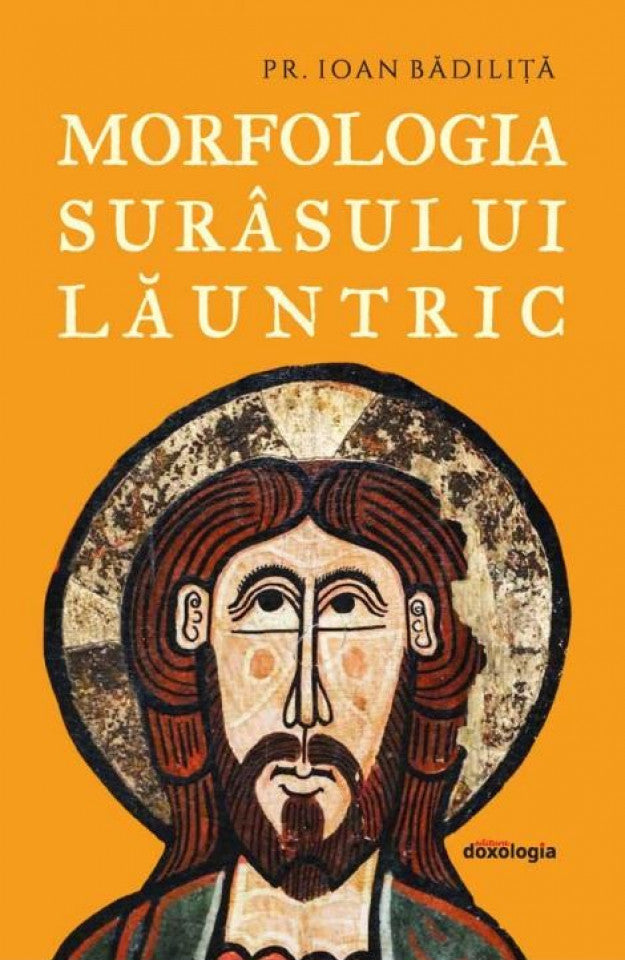 Morfologia surâsului lăuntric