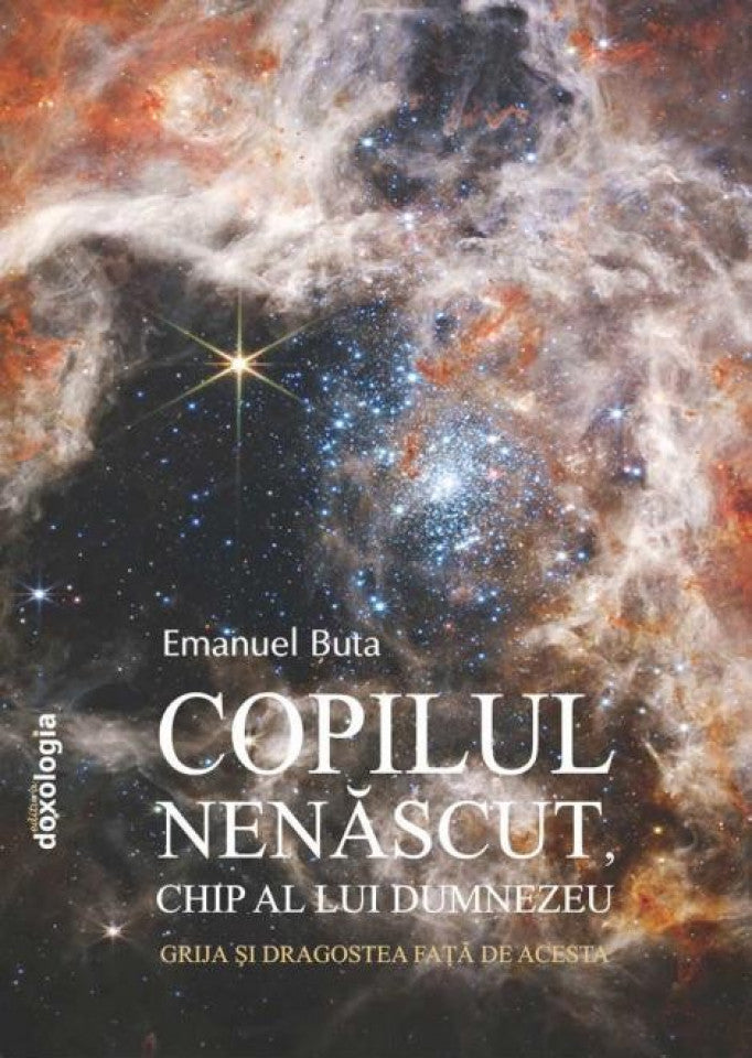 Copilul nenăscut, chip al lui Dumnezeu: grija şi dragostea faţă de acesta