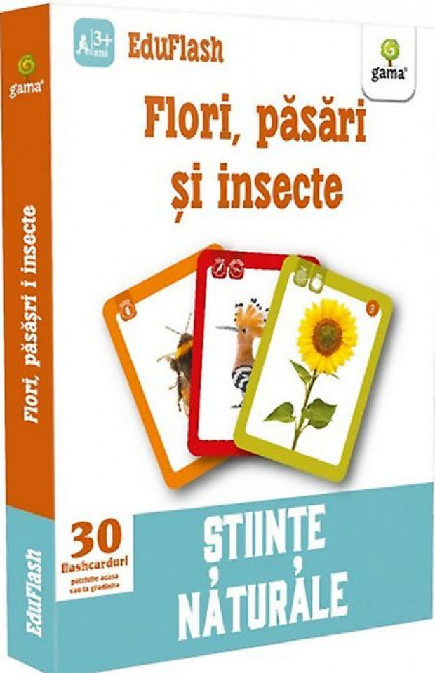 Flori, păsări și insecte