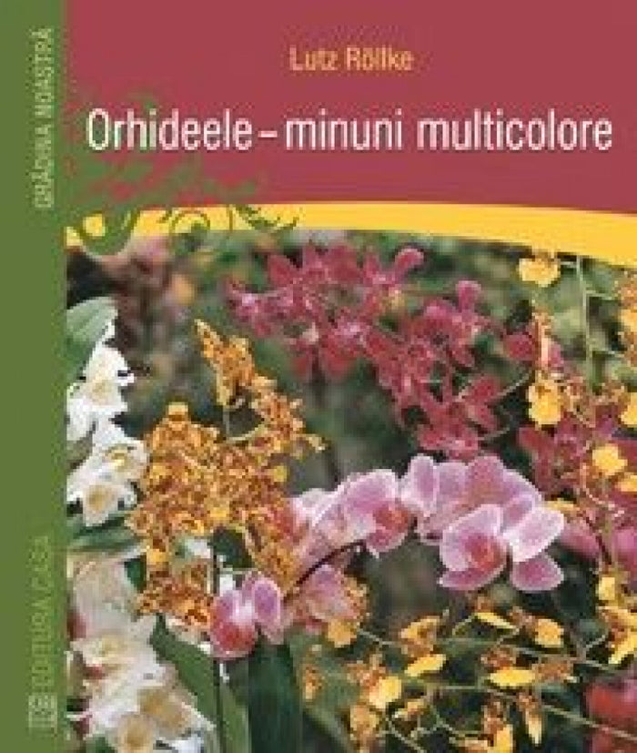 Orhideele – minuni multicolore