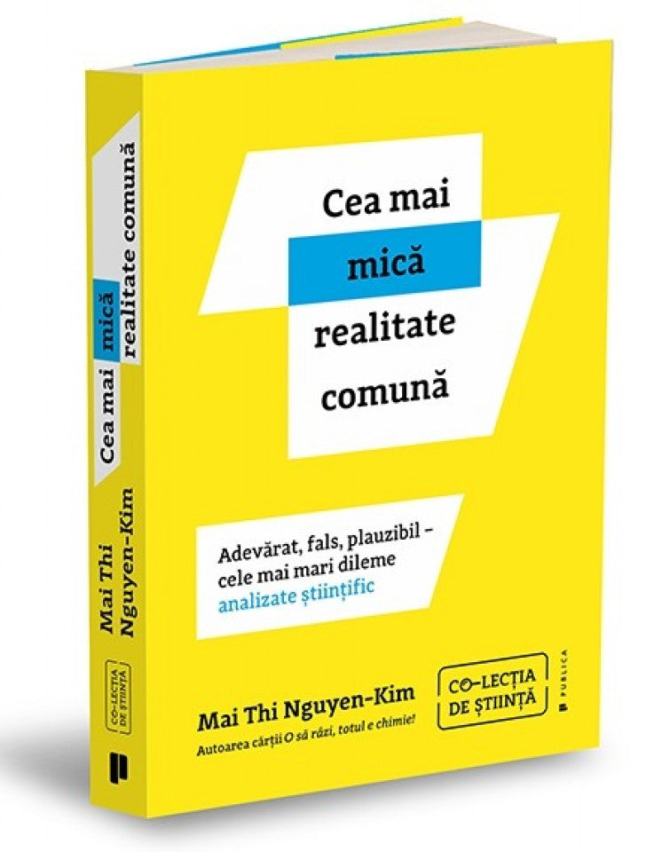 Cea mai mică realitate comună