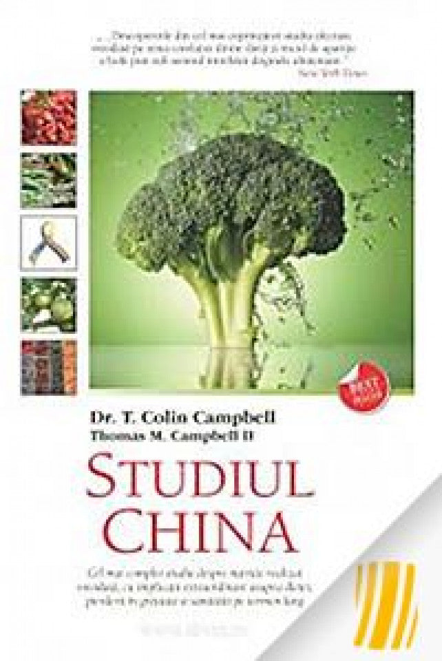 Studiul China