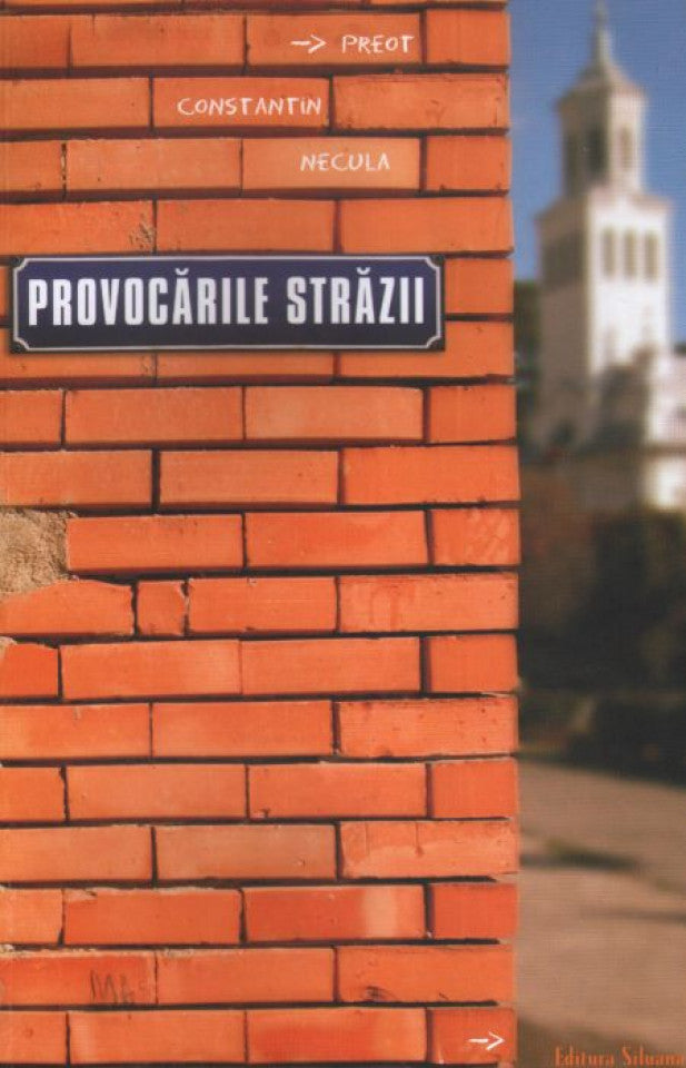 Provocările străzii