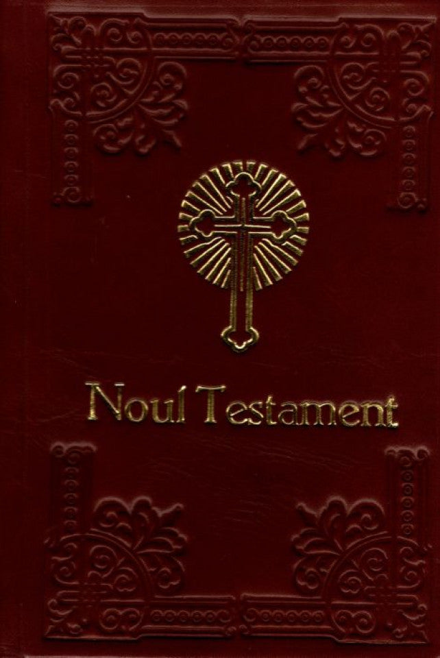 Noul Testament (auriu, legat în piele)