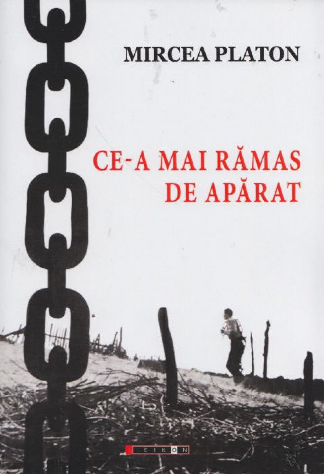 Ce-a mai rămas de apărat