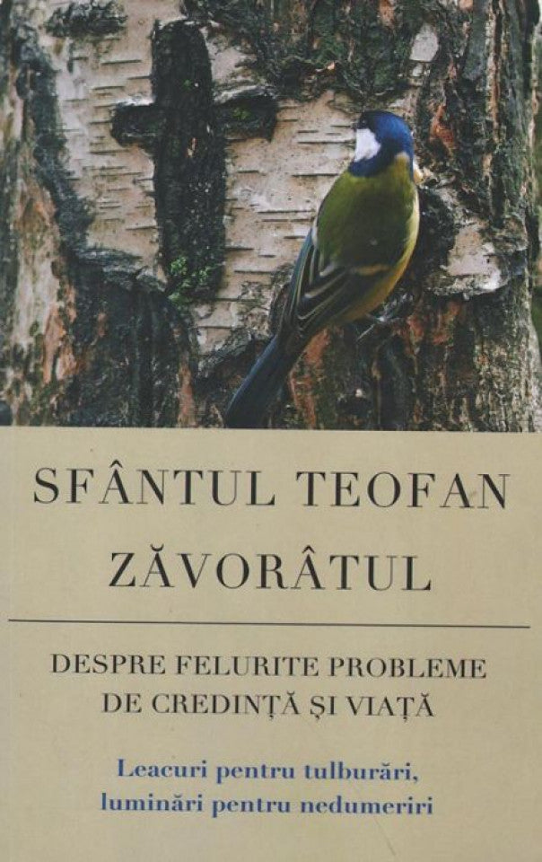 Despre felurite probleme de credinţă şi viaţă. Leacuri pentru tulburări, luminări pentru nedumeriri