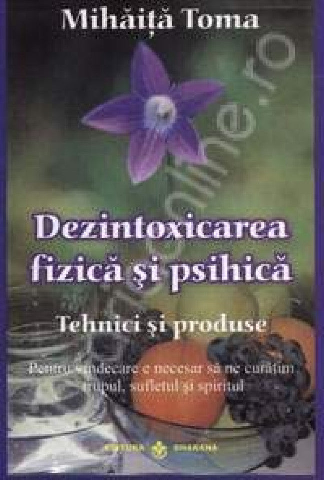 Dezintoxicarea fizică şi psihică. Ediţia a 2-a, revizuită şi adaugită